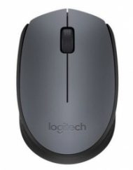 Мишка Logitech Wireless Mouse M170 Grey