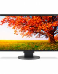 Монитор NEC MultiSync EA224WMi 22"