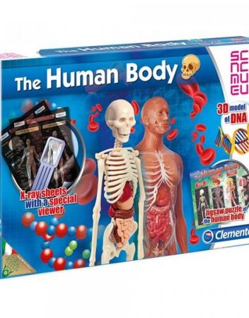 CLEMENTONI Комплект THE HUMAN BODY SCIENCE PLAY 61281