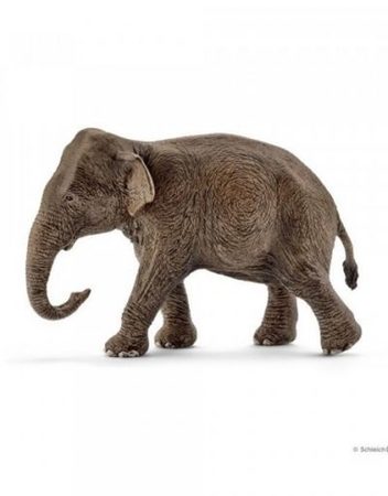 SCHLEICH Фигурка ИНДИЙСКИ СЛОН ЖЕНСКИ 14753