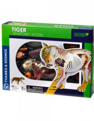 Thames & Kosmos - Конструирай анатомичен модел на тигър 261050