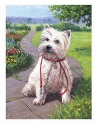 Royal Комплект за рисуване Junior с акрилни бои Кученце PJS49