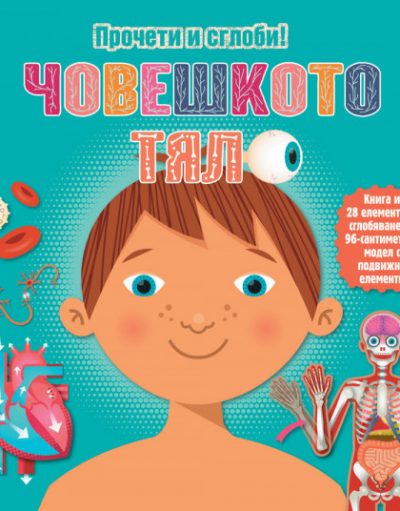ФЮТ Прочети и сглоби! Човешкото тяло