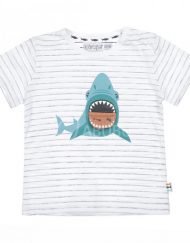 Тениска акула
