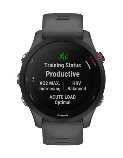 Смарт часовник Garmin Forerunner 255 010-02641-10